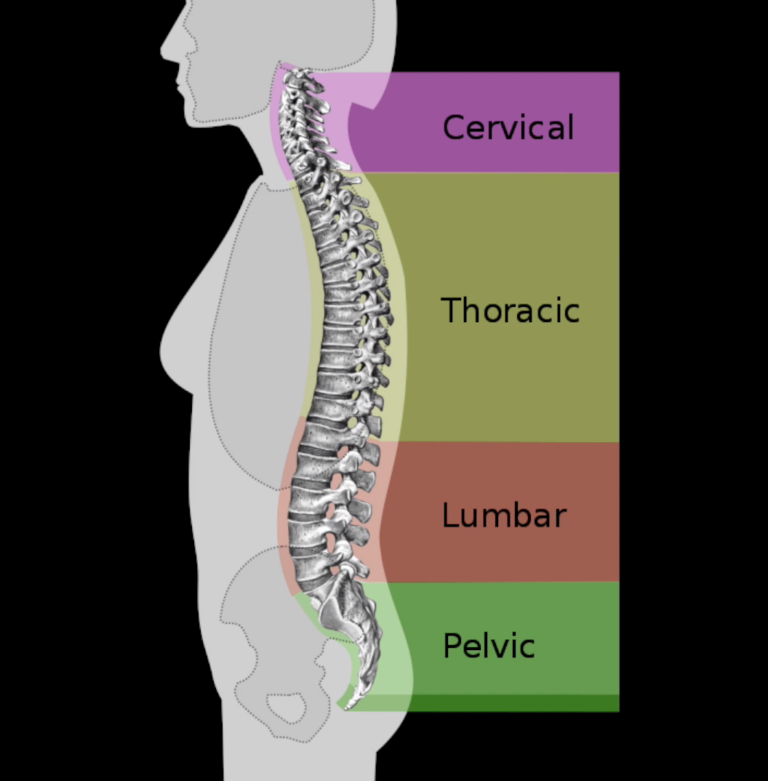 Neck Pain – Posture Retraining